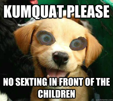 Kumquat please no sexting in front of the children  Pervy Meme