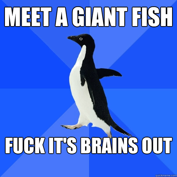 Meet a giant fish Fuck it's brains out  Socially Awkward Penguin