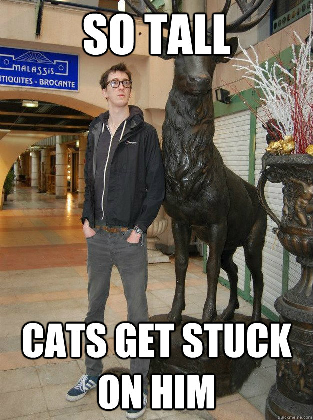 SO TALL cats get stuck on him  