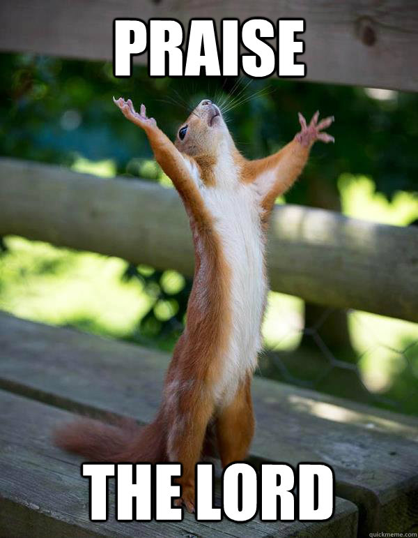 praise the lord - praise the lord  Praise Squirrel