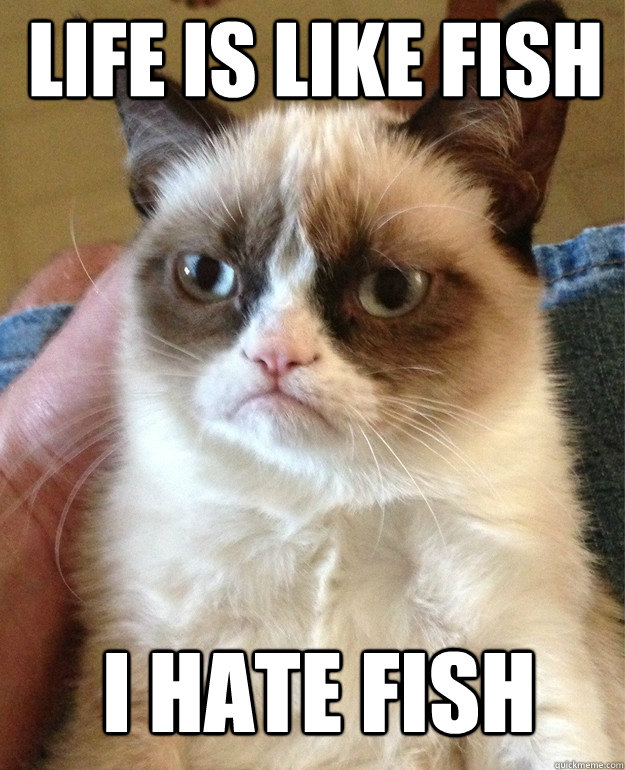 life is like fish I hate fish  Grumpy Cat