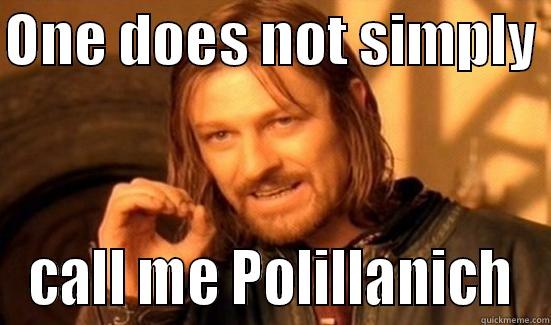 ONE DOES NOT SIMPLY  CALL ME POLILLANICH Boromir
