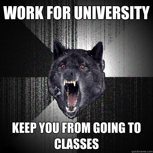 Work for university Keep you from going to classes  Insanity Wolf