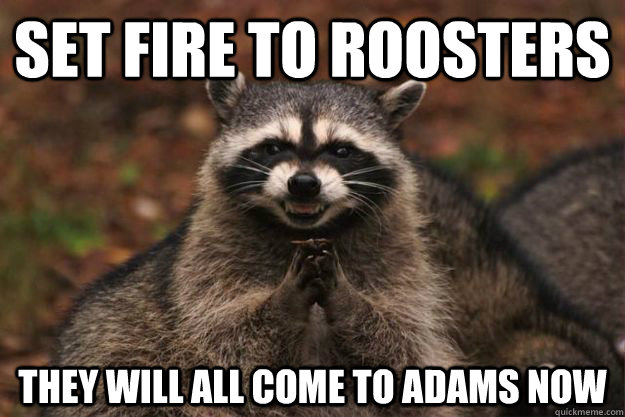 Set Fire To Roosters They will all come to Adams now  Evil Plotting Raccoon