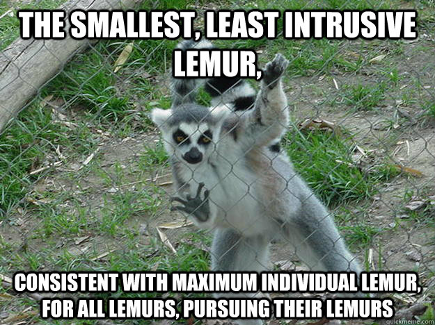 The smallest, least intrusive lemur,  consistent with maximum individual lemur, for all lemurs, pursuing their lemurs - The smallest, least intrusive lemur,  consistent with maximum individual lemur, for all lemurs, pursuing their lemurs  Libertarian Lemur