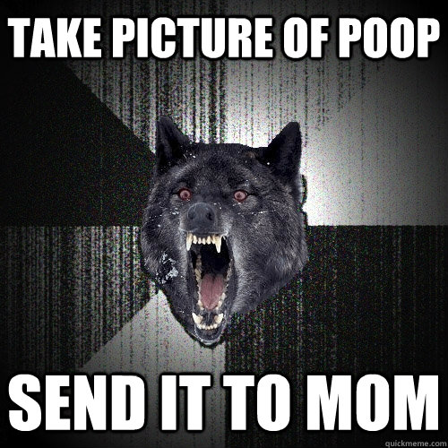 Take picture of poop Send it to mom  Insanity Wolf