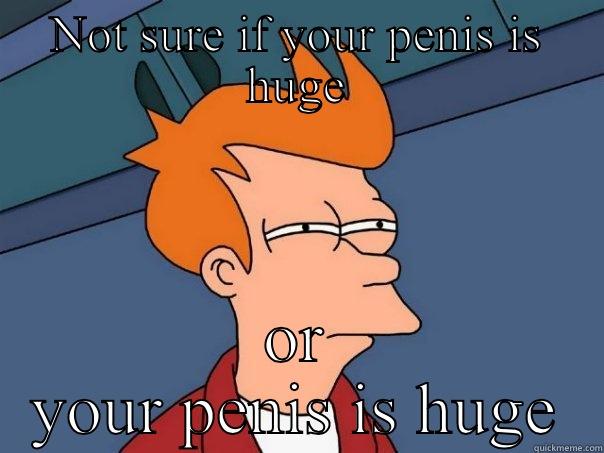 NOT SURE IF YOUR PENIS IS HUGE OR YOUR PENIS IS HUGE Futurama Fry