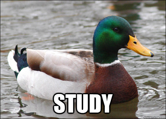  Study  Actual Advice Mallard