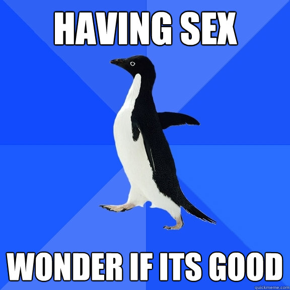 Having sex wonder if its good   Socially Awkward Penguin