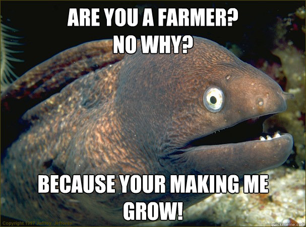 Are You a Farmer? 
No Why?  because your making me GROW! - Are You a Farmer? 
No Why?  because your making me GROW!  Bad Joke Eel