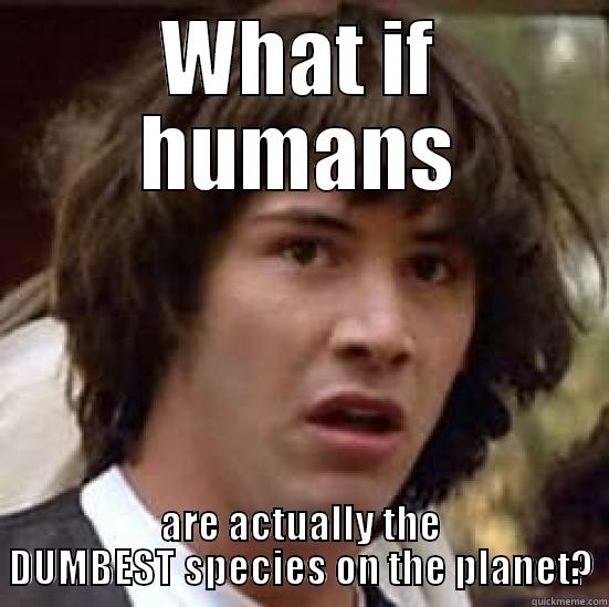 Oh humanity... - WHAT IF HUMANS ARE ACTUALLY THE DUMBEST SPECIES ON THE PLANET? conspiracy keanu