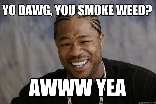 Yo dawg, You smoke weed? AWWW YEA  Xzibit meme