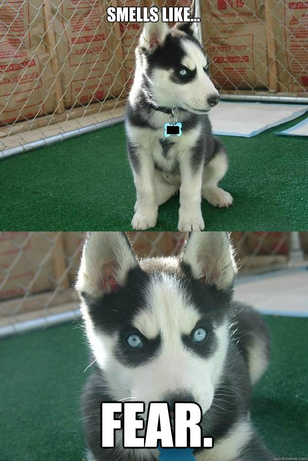 Smells like... Fear.  Insanity puppy