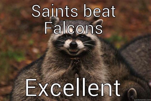 SAINTS BEAT FALCONS EXCELLENT Evil Plotting Raccoon