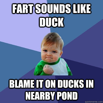 fart sounds like duck blame it on ducks in nearby pond - fart sounds like duck blame it on ducks in nearby pond  Success Kid
