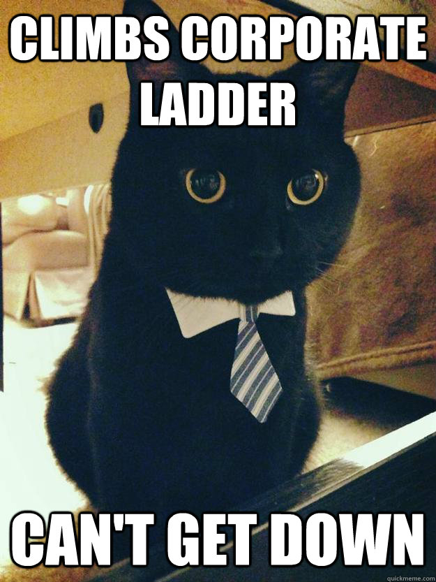 Climbs Corporate Ladder Can't Get Down - Climbs Corporate Ladder Can't Get Down  Corporate Cat