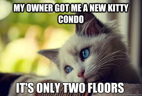 my owner got me a new kitty condo it's only two floors  First World Problems Cat