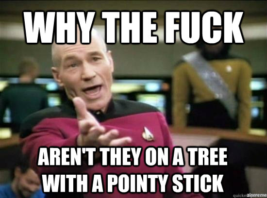 Why the fuck aren't they on a tree with a pointy stick  Annoyed Picard HD
