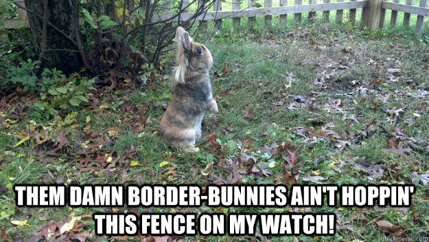  Them damn border-bunnies ain't hoppin' this fence on my watch! -  Them damn border-bunnies ain't hoppin' this fence on my watch!  Misc