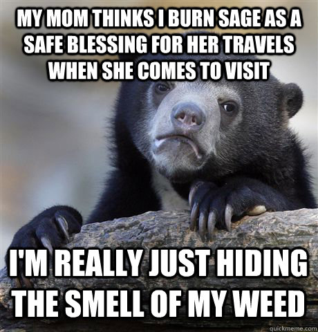 MY MOM THINKS I BURN SAGE AS A SAFE BLESSING FOR HER TRAVELS WHEN SHE COMES TO VISIT I'M REALLY JUST HIDING THE SMELL OF MY WEED - MY MOM THINKS I BURN SAGE AS A SAFE BLESSING FOR HER TRAVELS WHEN SHE COMES TO VISIT I'M REALLY JUST HIDING THE SMELL OF MY WEED  Confession Bear