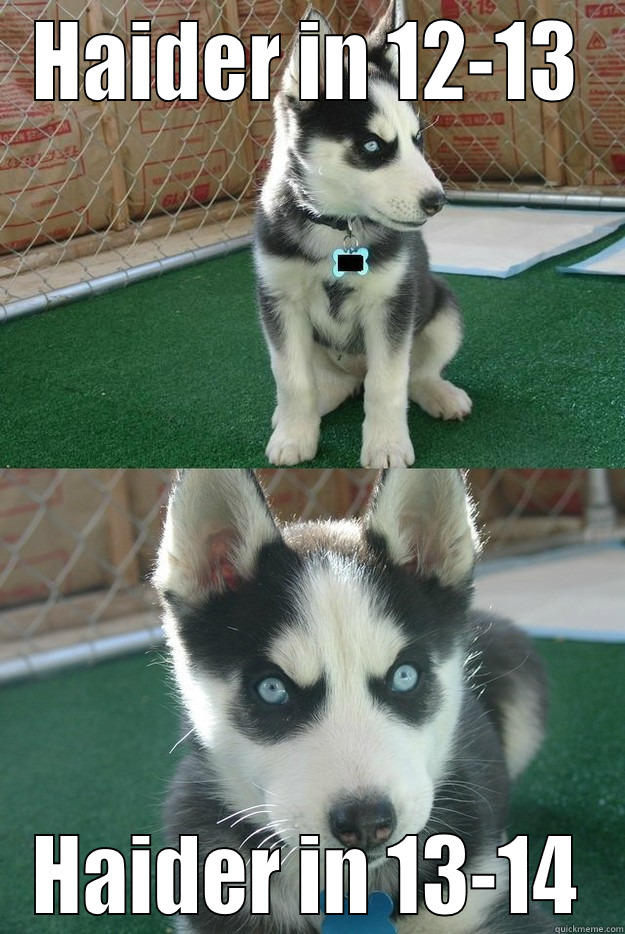 HAIDER IN 12-13 HAIDER IN 13-14 Insanity puppy