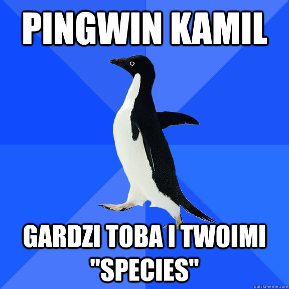 Pingwin Kamil Gardzi Toba i Twoimi 