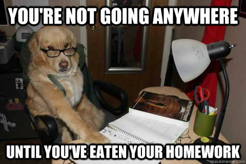 You're not going anywhere Until you've eaten your homework  Disapproving Dog Dad
