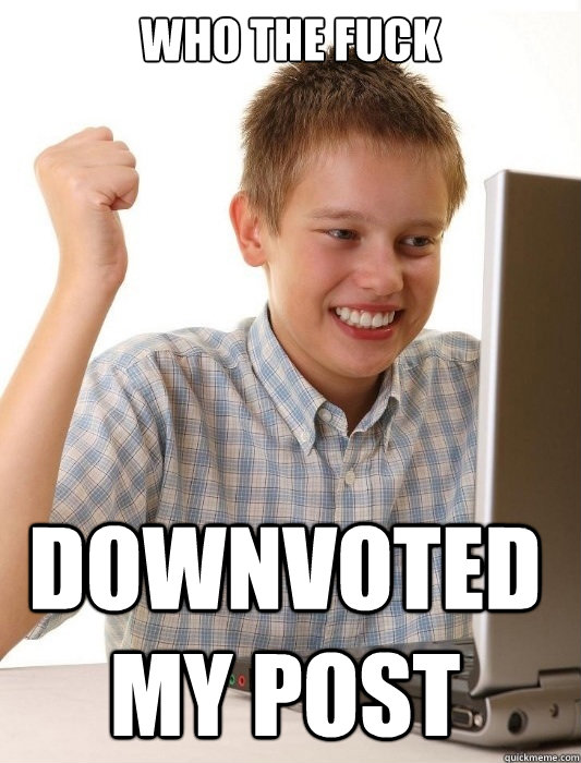 WHO THE FUCK DOWNVOTED MY POST  First Day on the Internet Kid