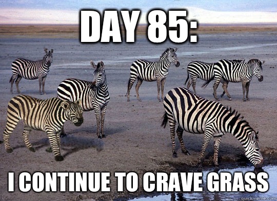 Day 85: I continue to crave grass  Zebra Lion