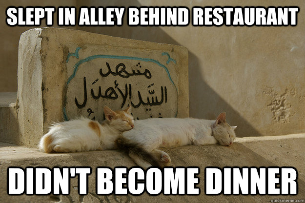 Slept in alley behind restaurant Didn't become dinner  