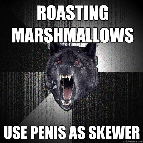 Roasting marshmallows Use penis as skewer  Insanity Wolf