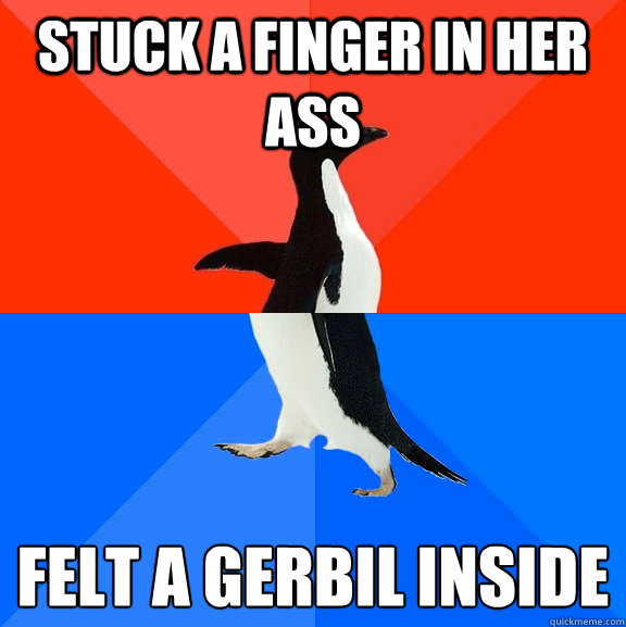 Stuck a finger in her ass Felt a gerbil inside  Socially Awesome Awkward Penguin