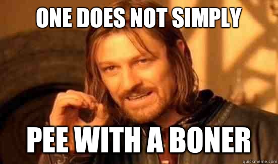 One Does Not SimpLy Pee with a boner  Boromir