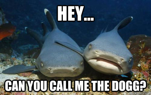 hey... can you call me the dogg?  Compassionate Shark Friend