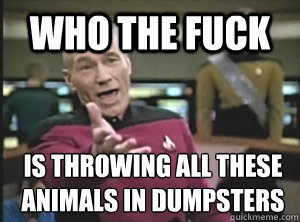 who the fuck is throwing all these animals in dumpsters  Annoyed Picard