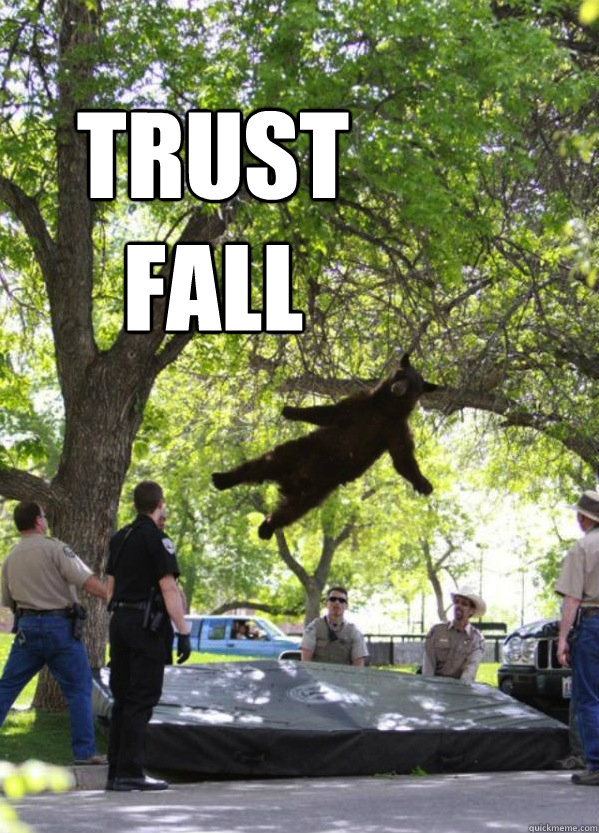 TRUst fall - TRUst fall  BearTrustFall