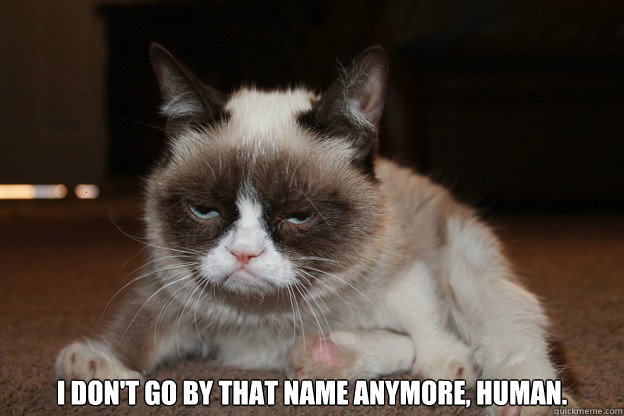 I don't go by that name anymore, human.  grumpy cat monday