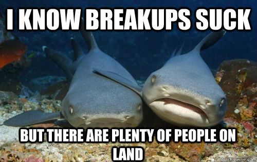 i know breakups suck but there are plenty of people on land  Compassionate Shark Friend