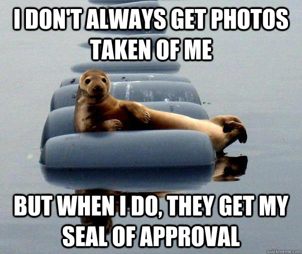I don't always get photos taken of me but when i do, they get my seal of approval - I don't always get photos taken of me but when i do, they get my seal of approval  Misc