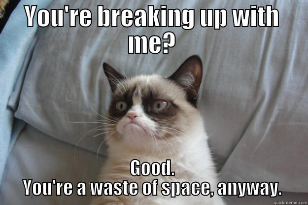 you're breaking up with me? - YOU'RE BREAKING UP WITH ME? GOOD. YOU'RE A WASTE OF SPACE, ANYWAY. Grumpy Cat