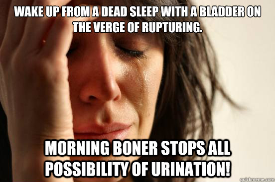 Wake up from a dead sleep with a bladder on the verge of rupturing. Morning boner stops all possibility of urination!  First World Problems