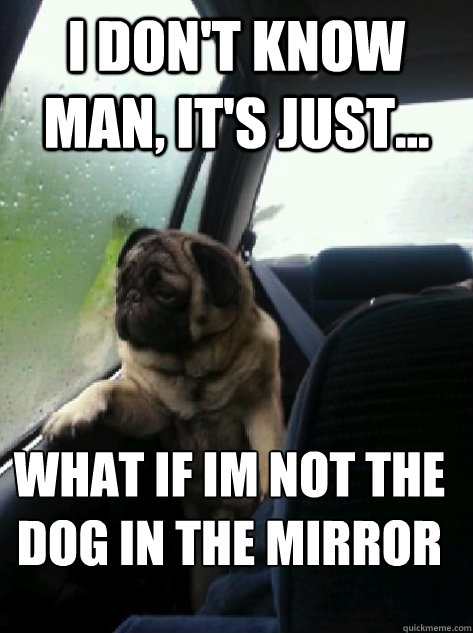I don't know man, It's just... what if im not the dog in the mirror  Introspective Pug