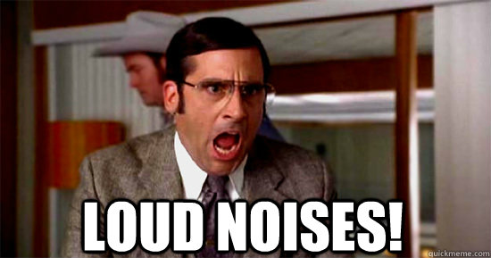  LOUD NOISES!  very loud noises