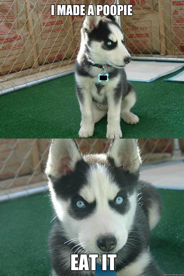 I made a poopie EAT IT  Insanity puppy