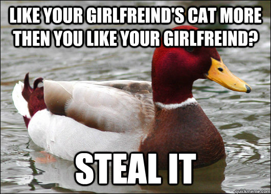 like your girlfreind's cat more then you like your girlfreind? steal it  Malicious Advice Mallard