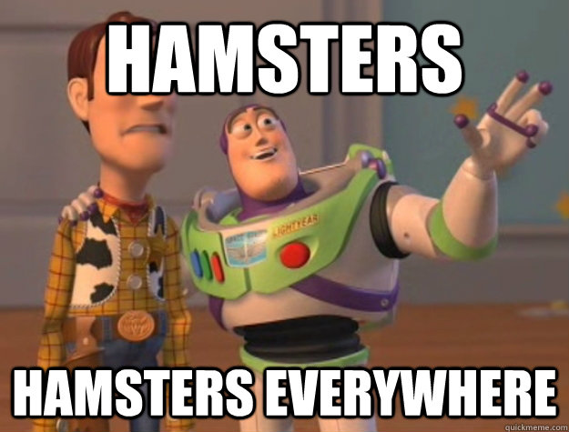 Hamsters Hamsters everywhere - Hamsters Hamsters everywhere  Buzz Lightyear