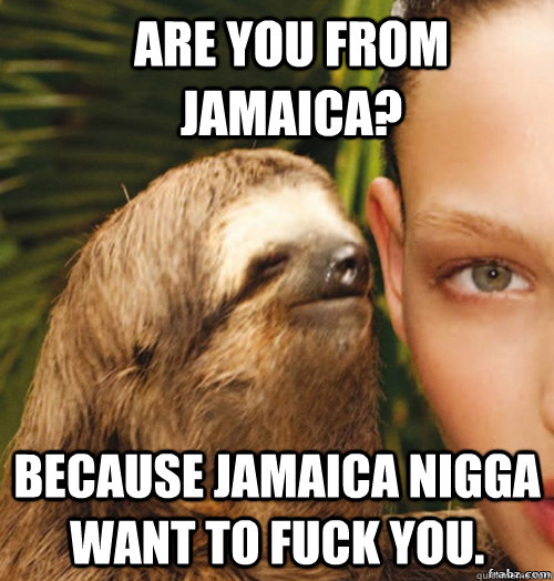 Are you from Jamaica? Because Jamaica nigga want to fuck you.   rape sloth