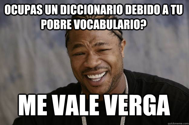 Ocupas un diccionario debido a tu pobre vocabulario? me vale verga  Xzibit meme