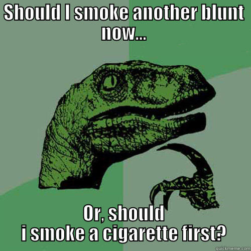 SHOULD I SMOKE ANOTHER BLUNT NOW... OR, SHOULD I SMOKE A CIGARETTE FIRST? Philosoraptor