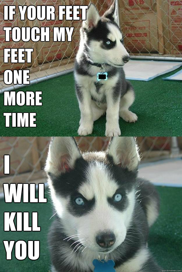 If your feet
touch my 
feet
One 
more 
time I 
Will 
Kill 
You  Insanity puppy